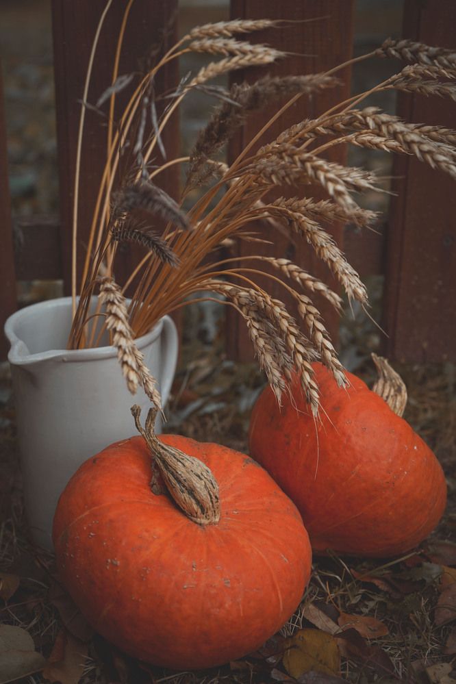 Photograph by Любовь Лунина