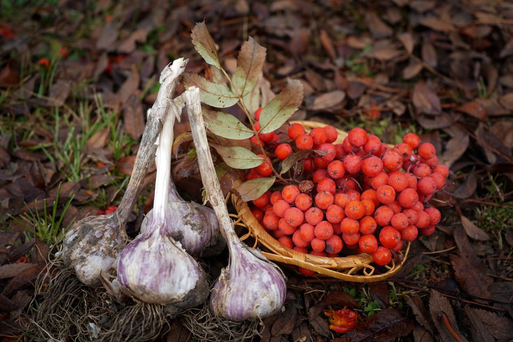 Photograph by Любовь Лунина