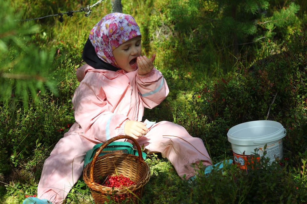 Photograph by Елена Наленч