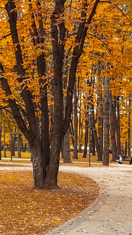 Photograph by Светлана Моисеева