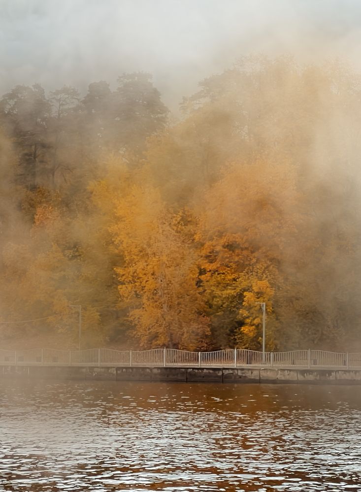 Photograph by Светлана Моисеева