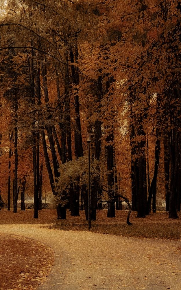 Photograph by Светлана Моисеева