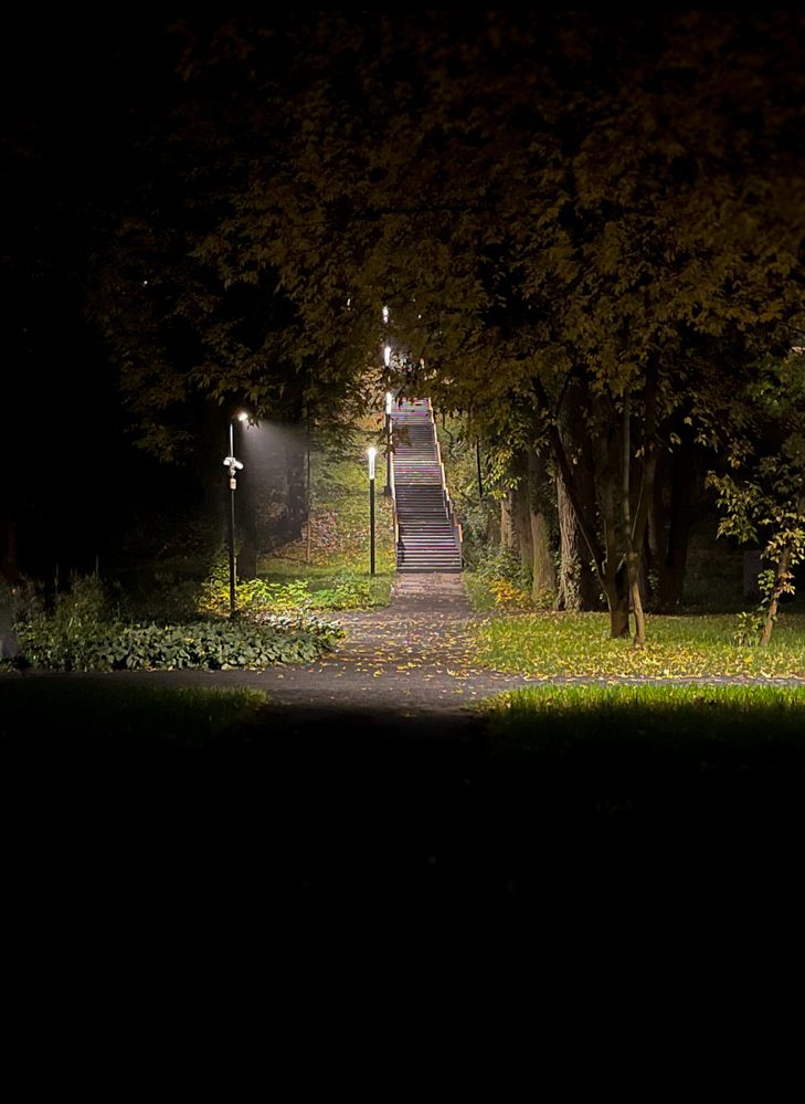 Photograph by Алина