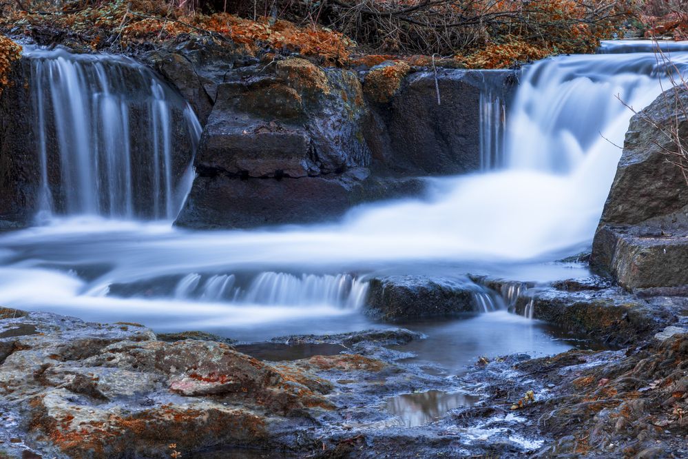 Photograph by Alessandro Grandoni