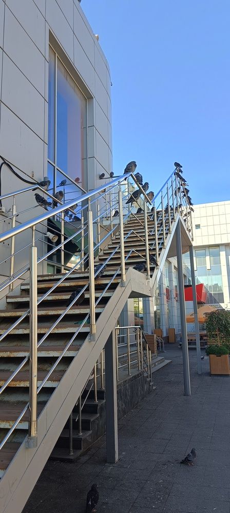 Фотография автора Елена Александрова