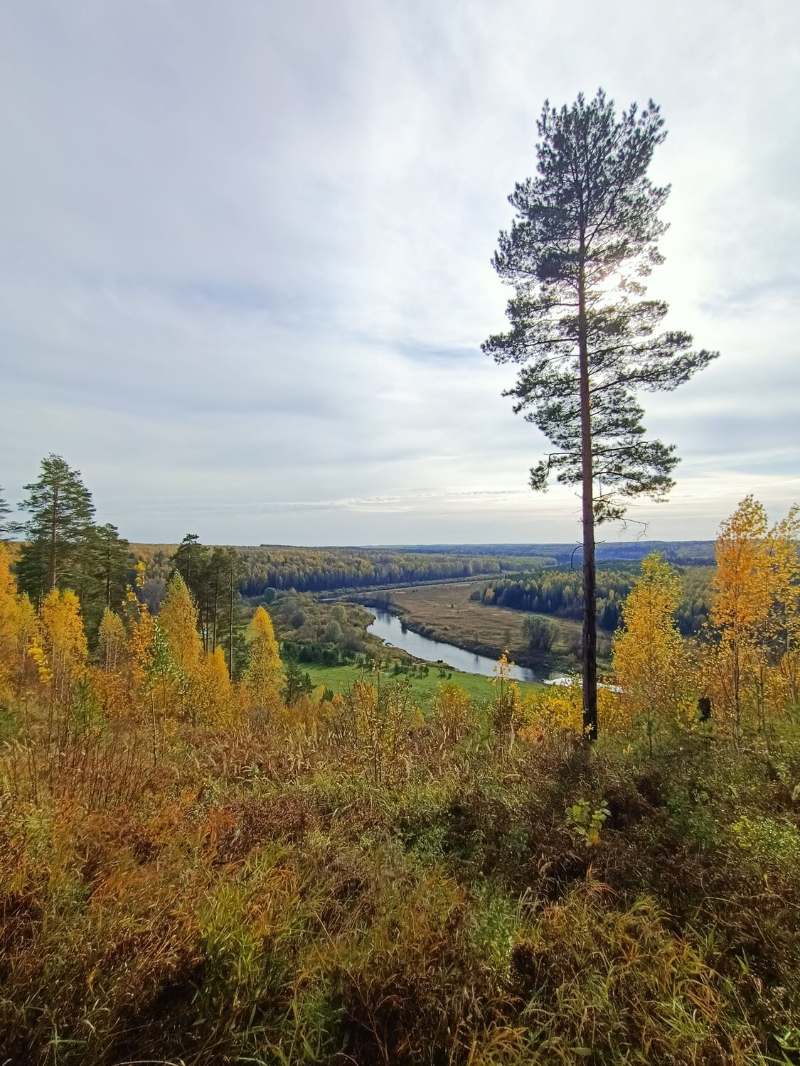 Photo #12682314