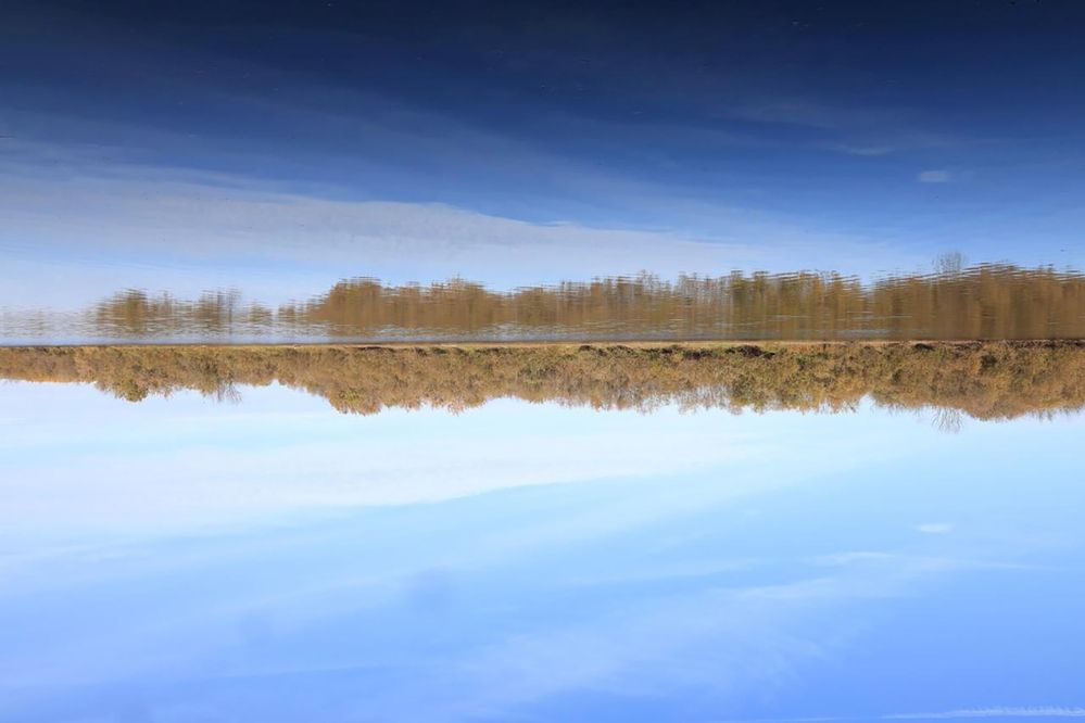 Photograph by Ирина Анцыгина