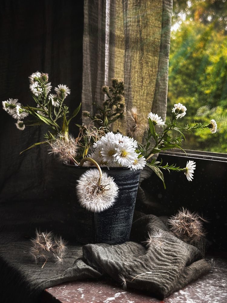 Photograph by Olga Schmidt