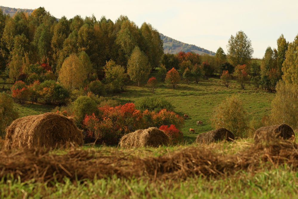 Photograph by Юлий Ахромеев