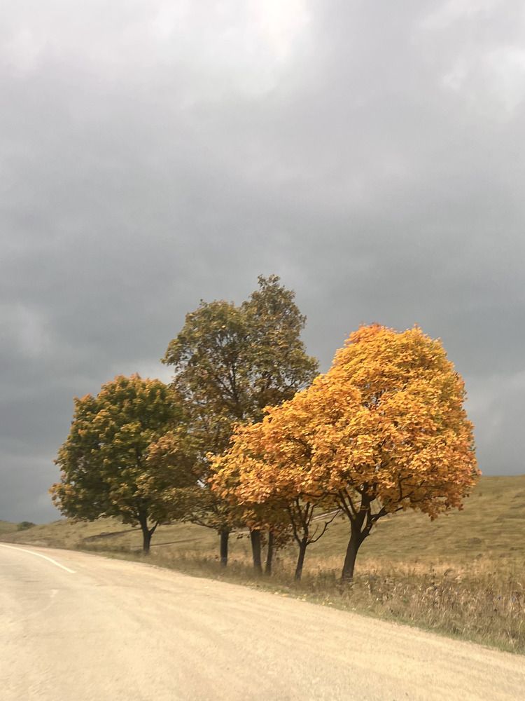 Photograph by Валерия Ершова