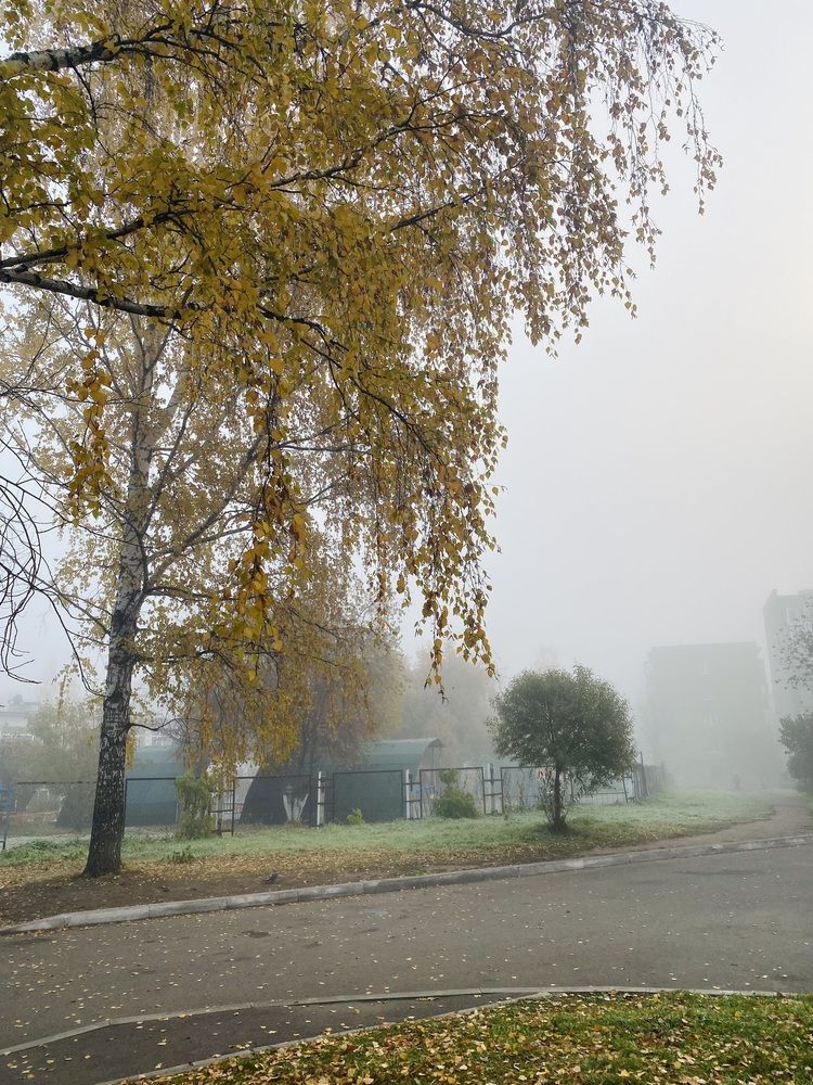 Photograph by Олеся Чистова