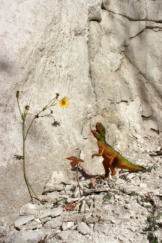 Photograph by Светлана Шубина