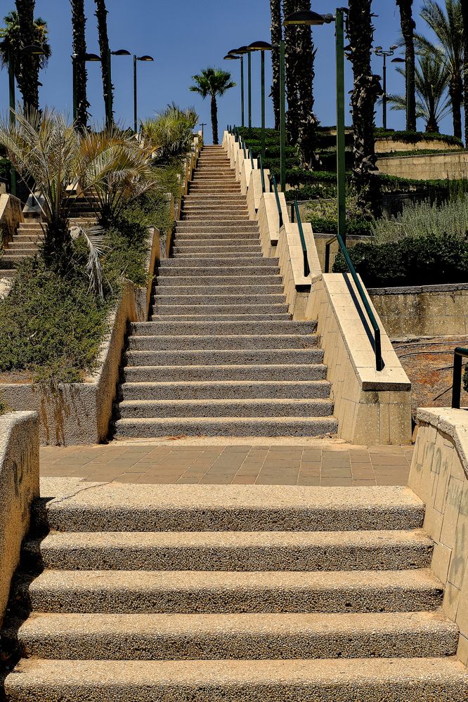 Фотография автора Dmitry