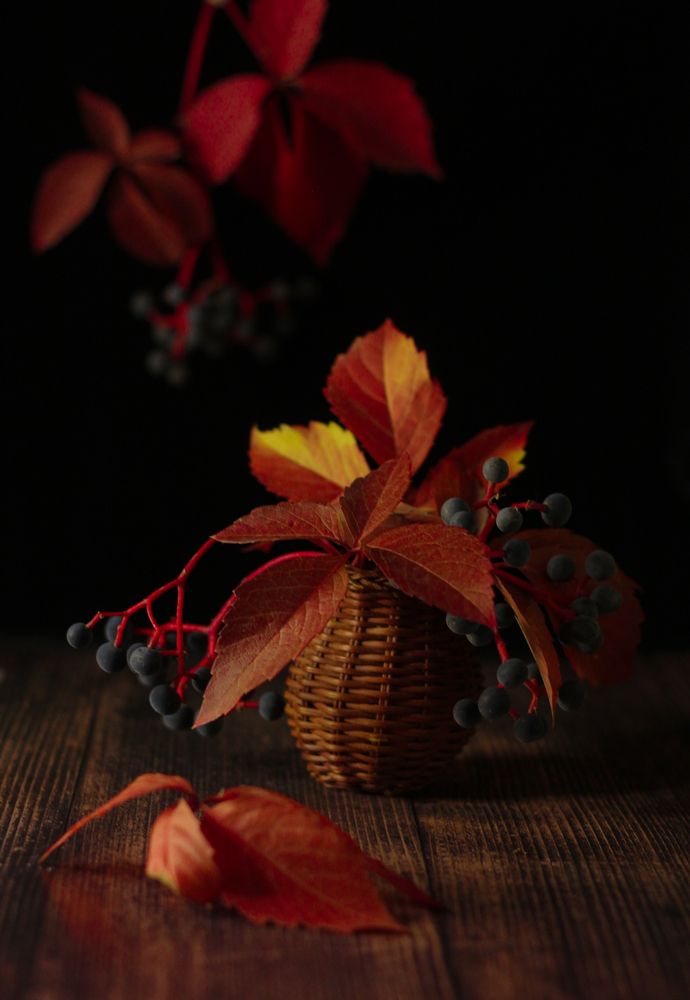 Photograph by Анна Зайченко