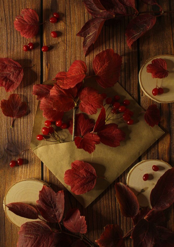 Photograph by Анна Зайченко