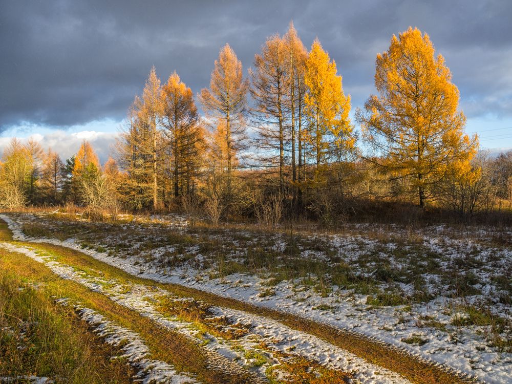 Photograph by Александр Авдушев