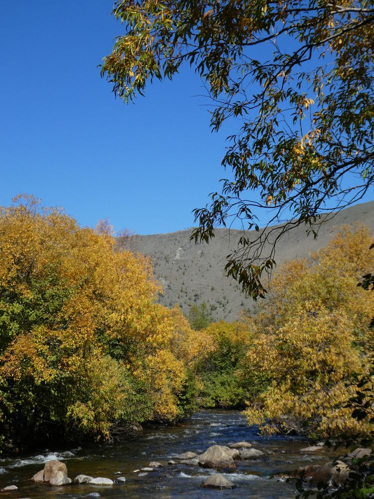 Photograph by Андрей Садчиков