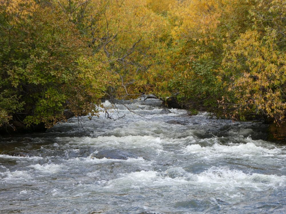 Photograph by Андрей Садчиков