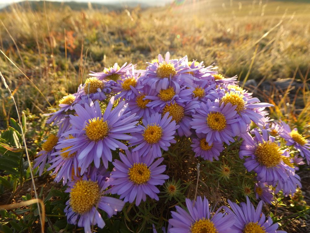 Photograph by Андрей Садчиков