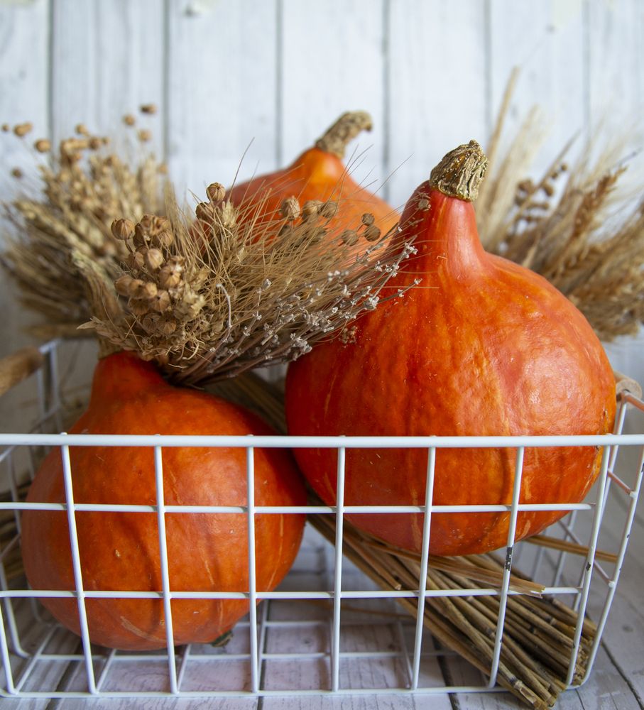 Photograph by Наталья Сергеевна Крылова