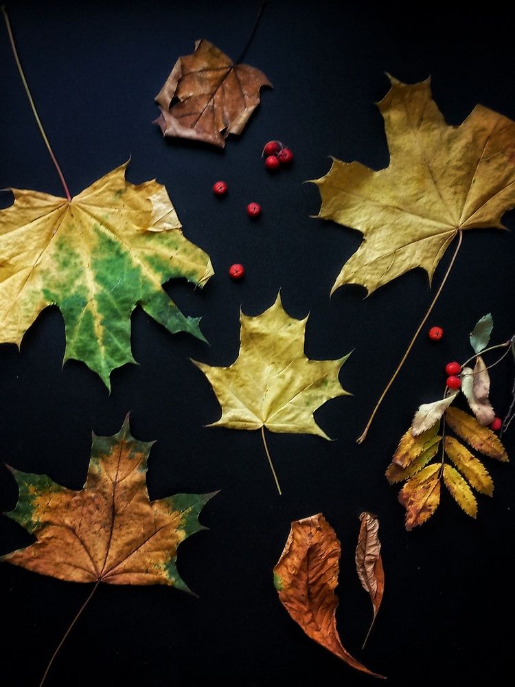 Photograph by Марина Егорова