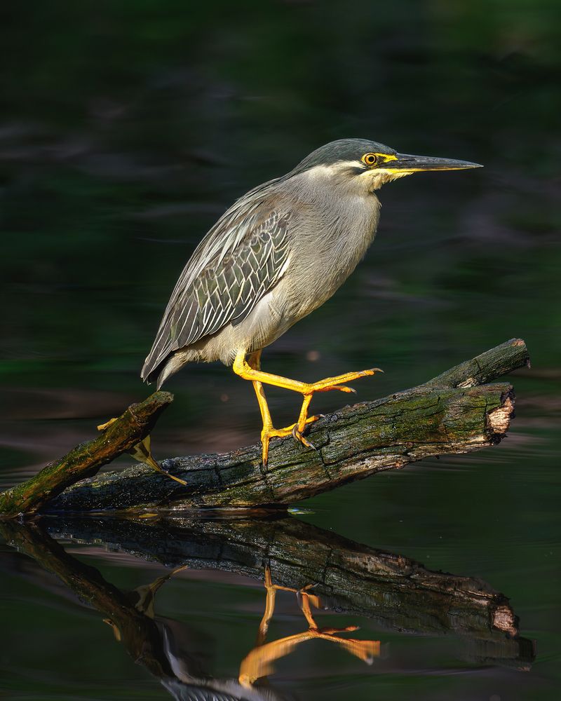 Photograph by Lugyanti Sukrisman