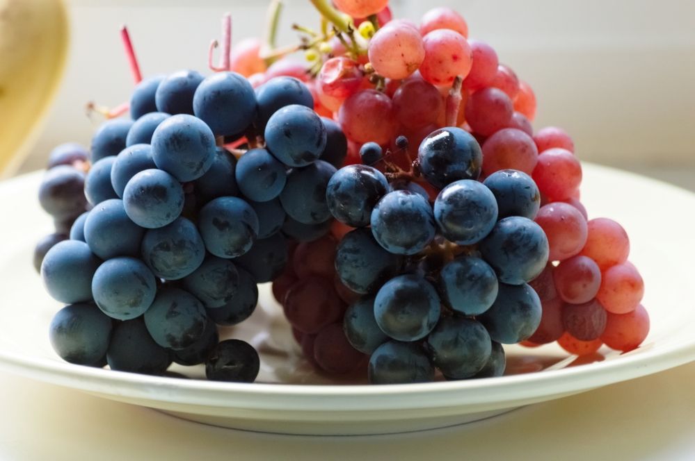 Photograph by Nadezhda