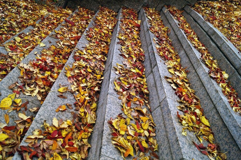 Photograph by Мишустина Татьяна