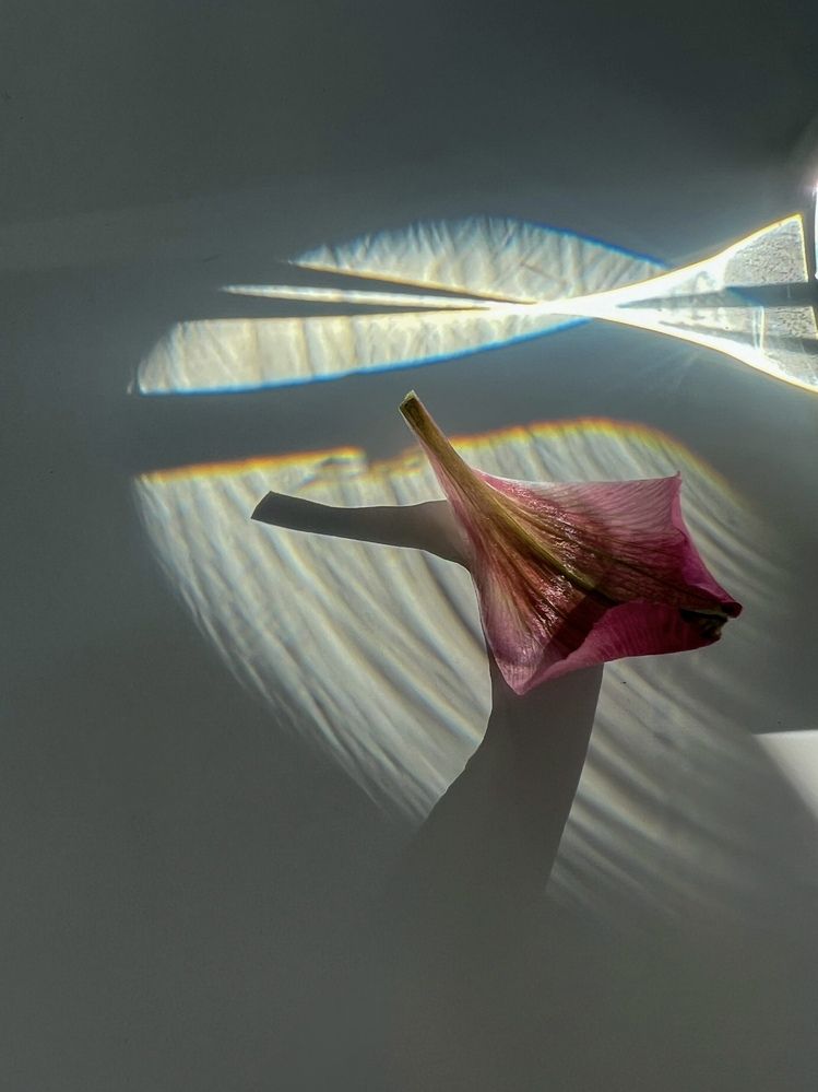 Photograph by Оксана