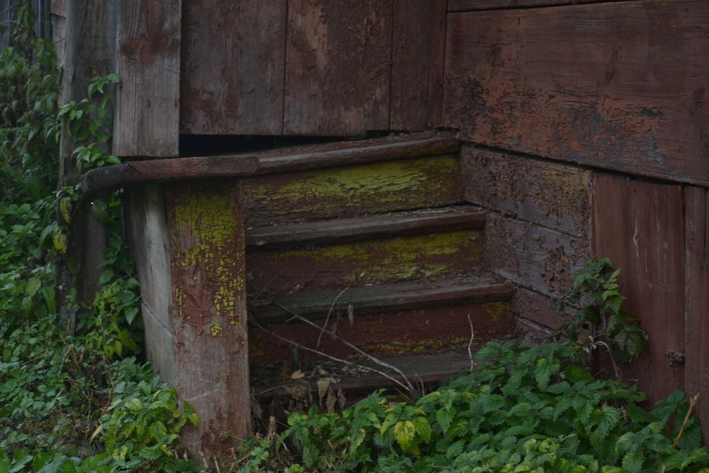 Photograph by Николай Дмитриев