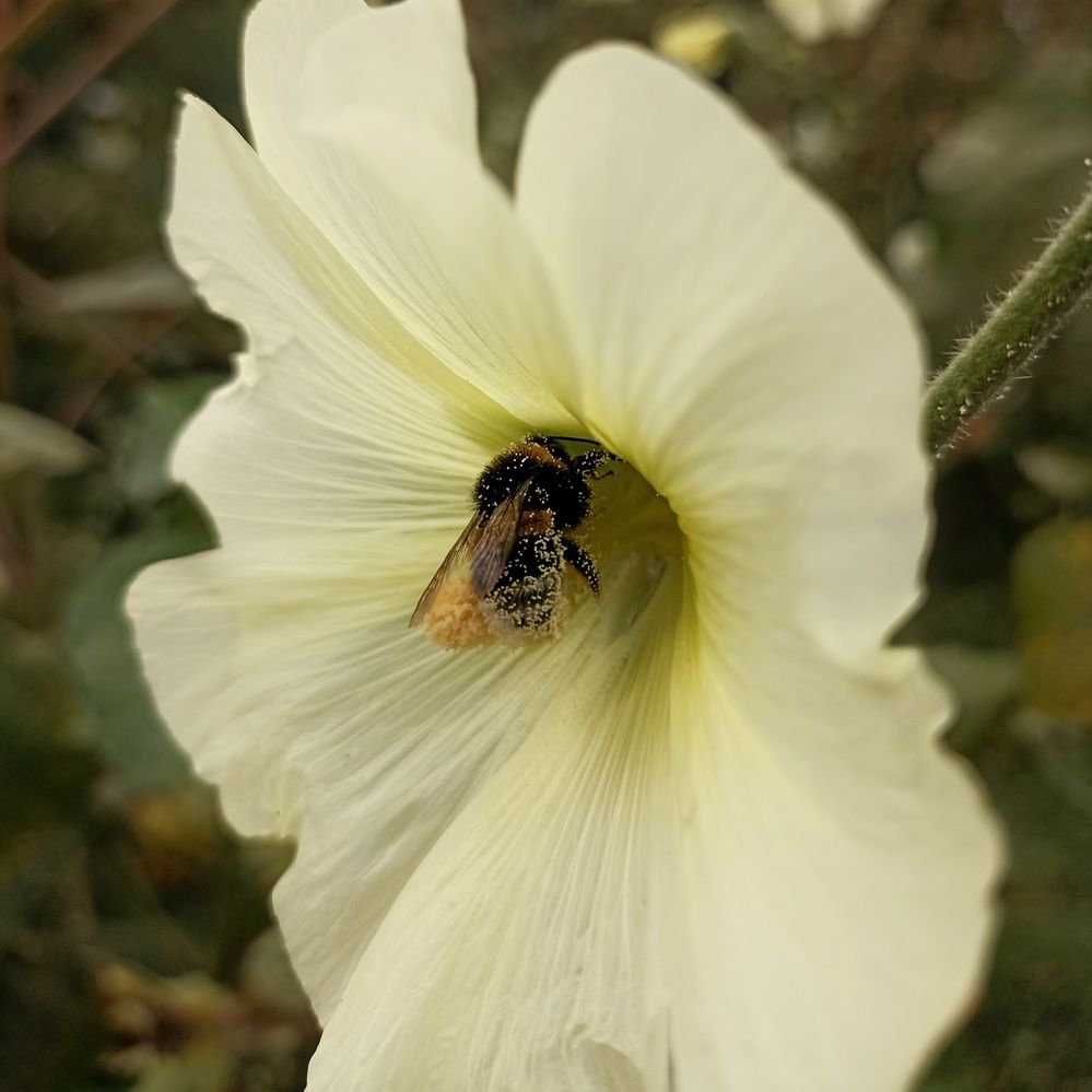 Photograph by Ольга Стариченко