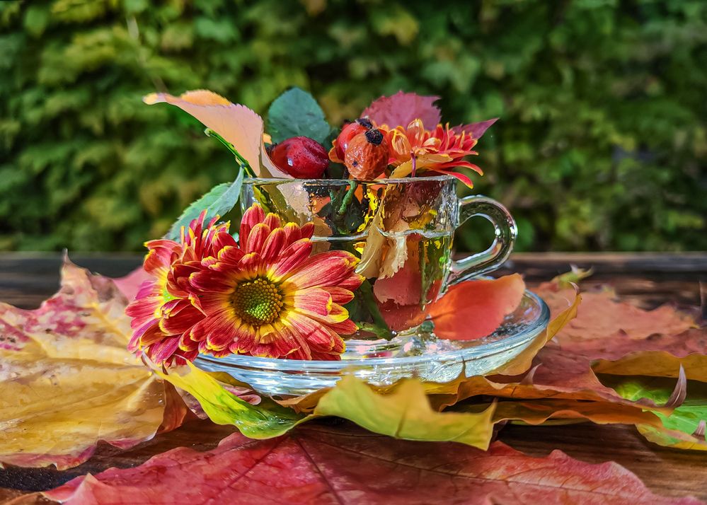 Чашечка осени!