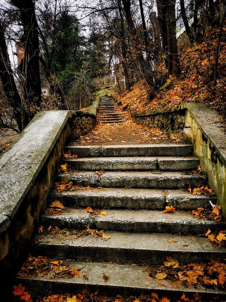 Photograph by Елена Артёменко