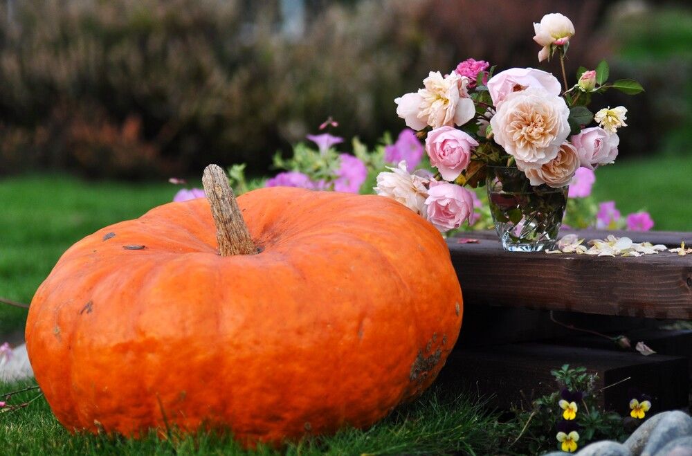 Photograph by Мария Карюхина