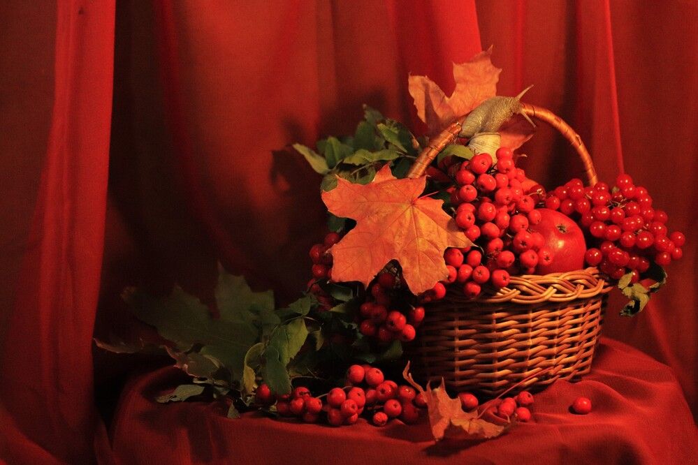 Photograph by Светлана Соколова