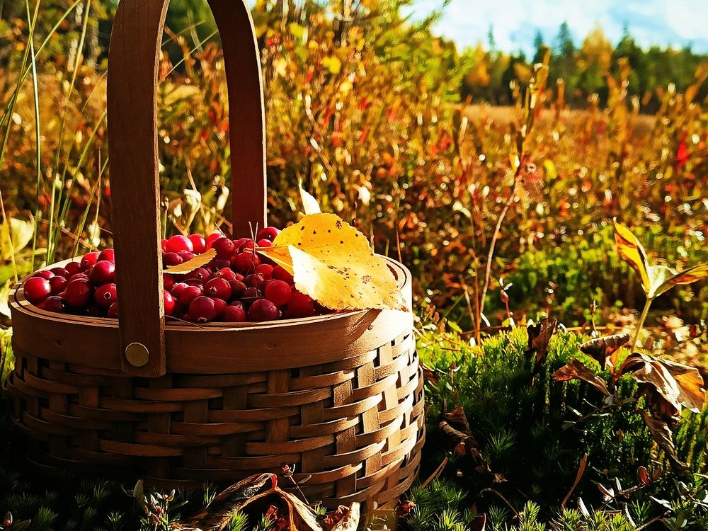 Photograph by Татьяна Бешенкина