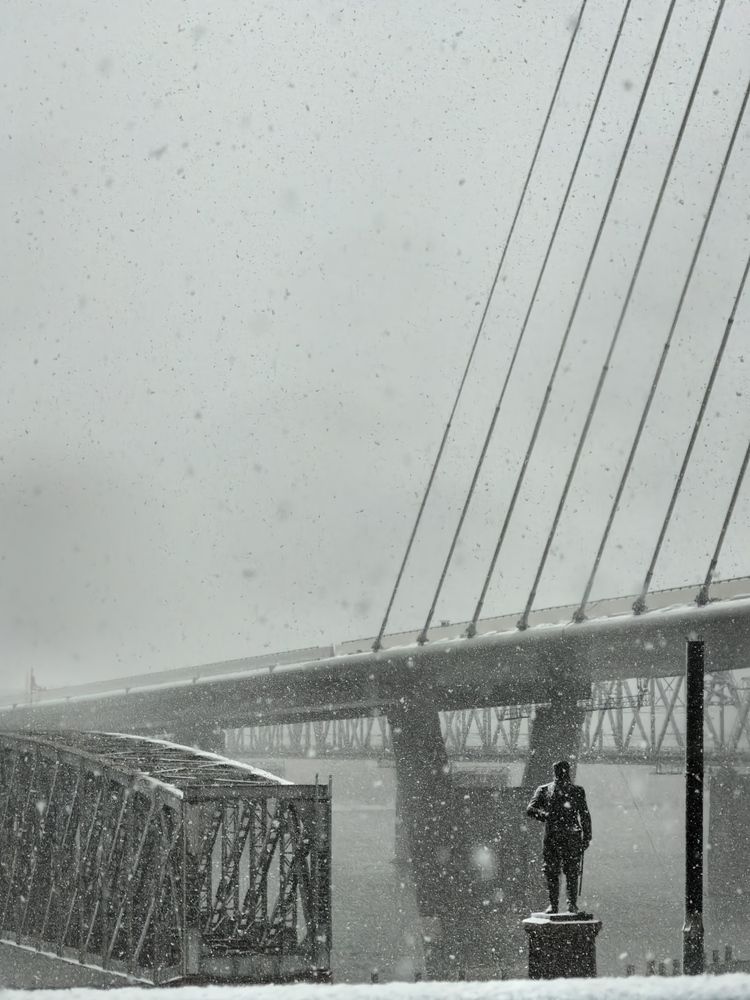 Photo #12683091