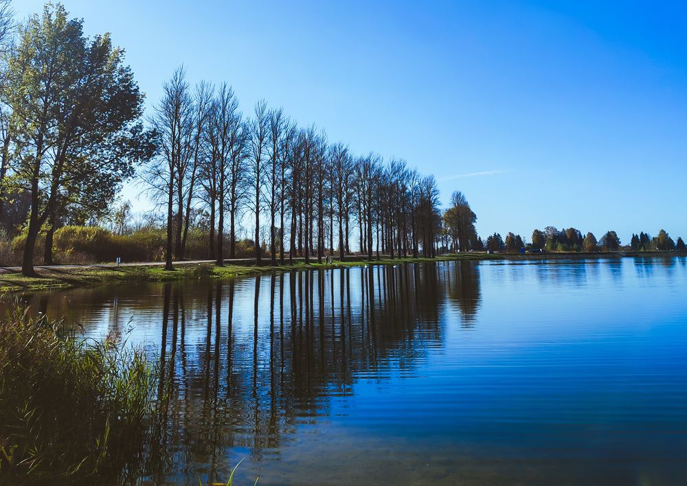 Photograph by Анастасия Гиринская