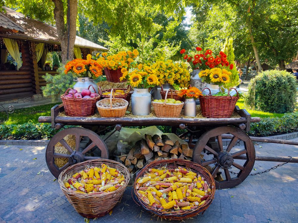 Photograph by Ирина Шибитова