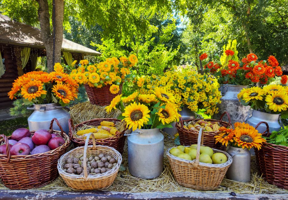 Photograph by Ирина Шибитова