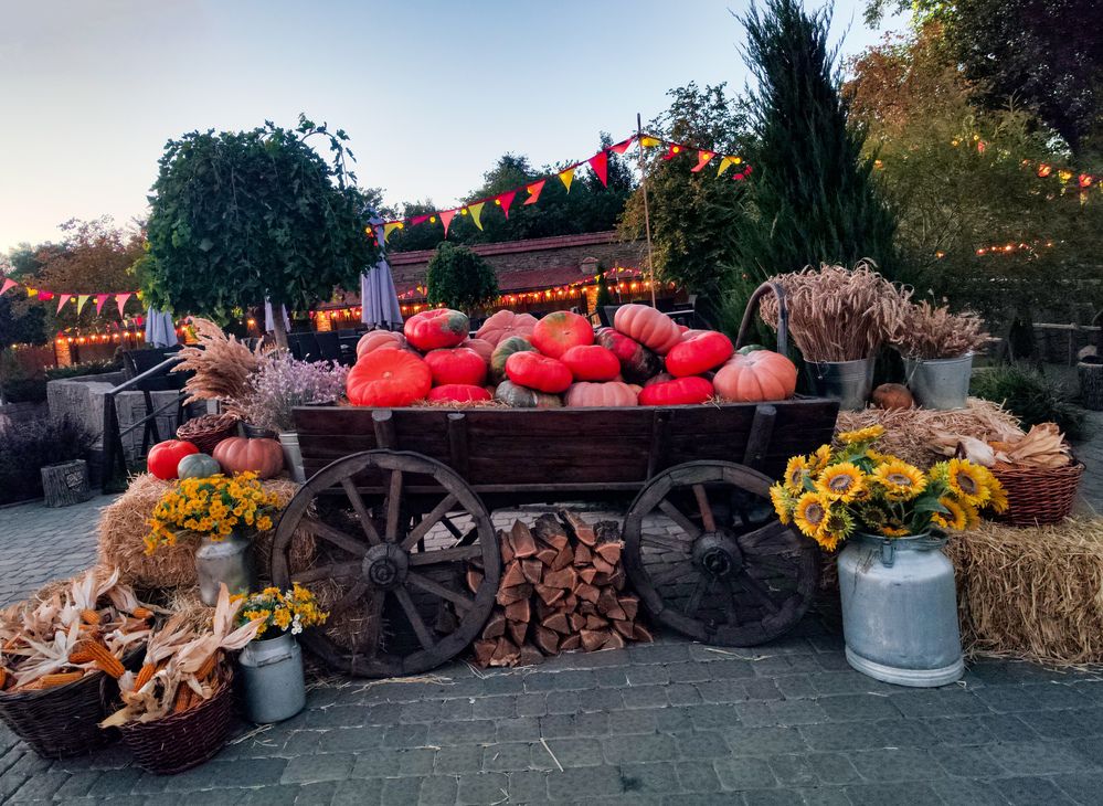 Photograph by Ирина Шибитова