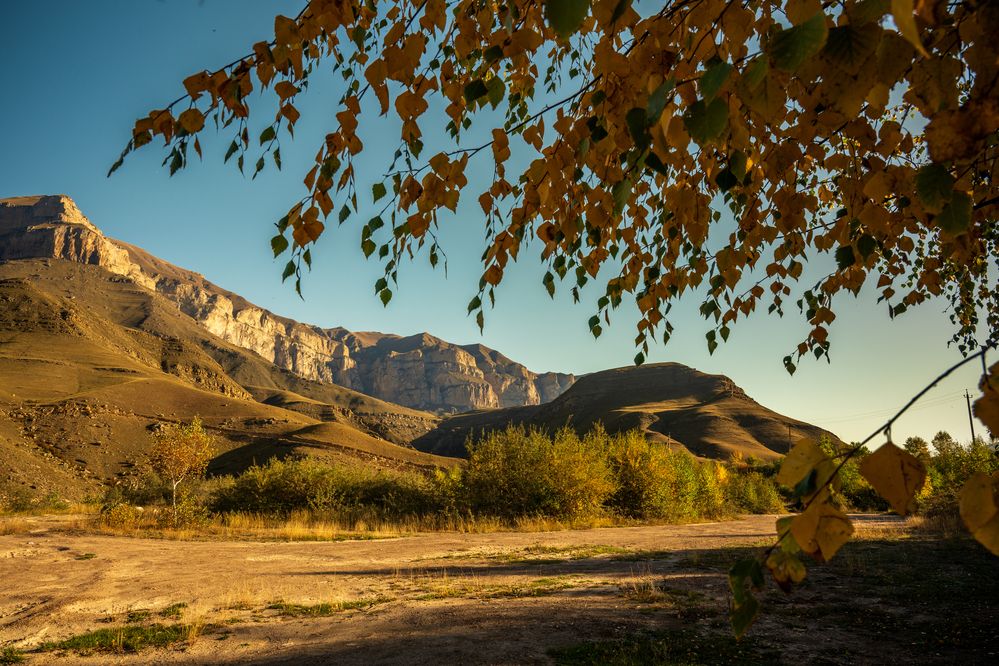 Фотография автора Dmitry BESPAMIATNYI