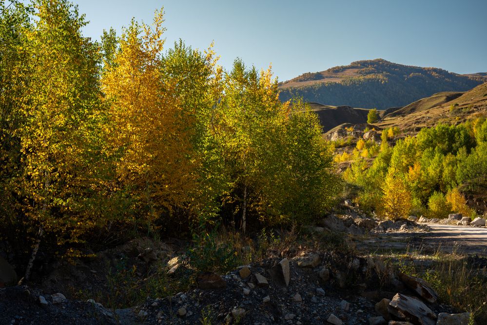 Фотография автора Dmitry BESPAMIATNYI