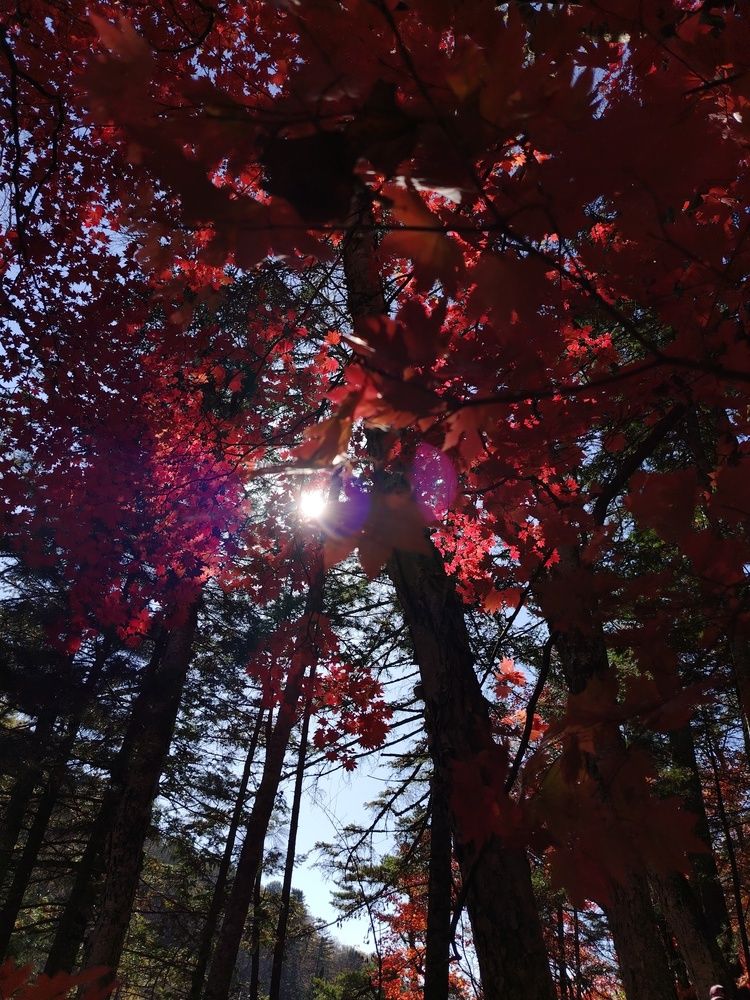 Photograph by Ирина Клеймëнова