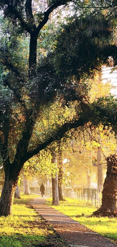 Photograph by Avi Behar