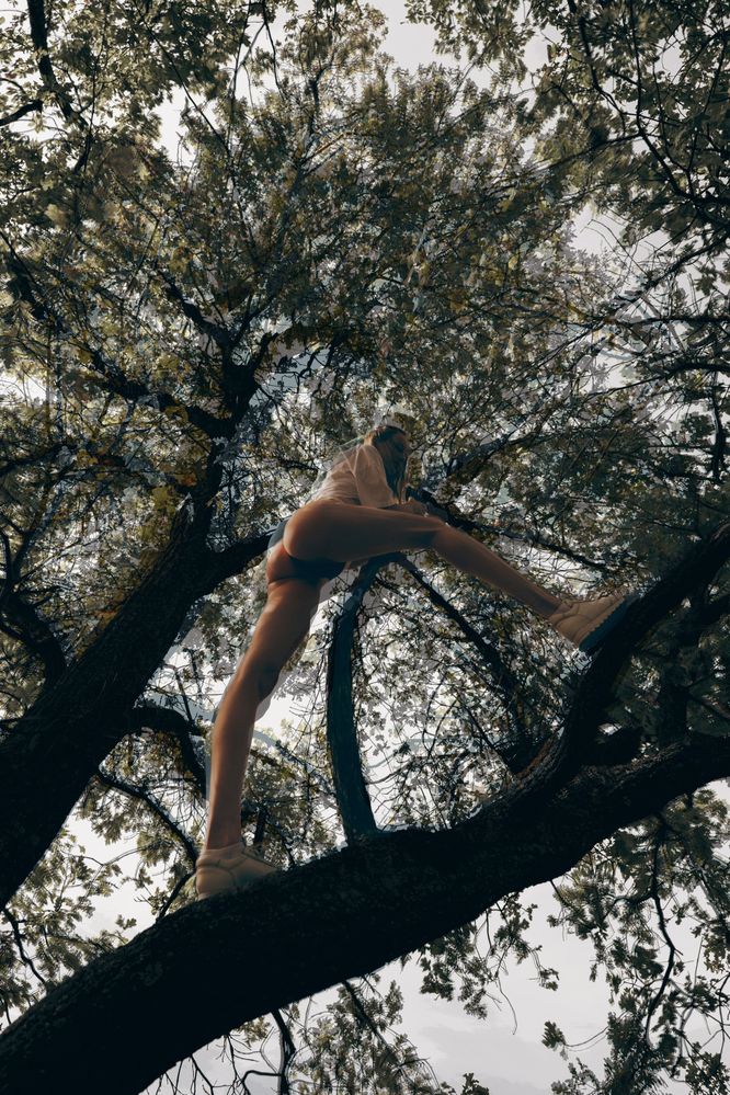 Фотография автора Александров Алексей