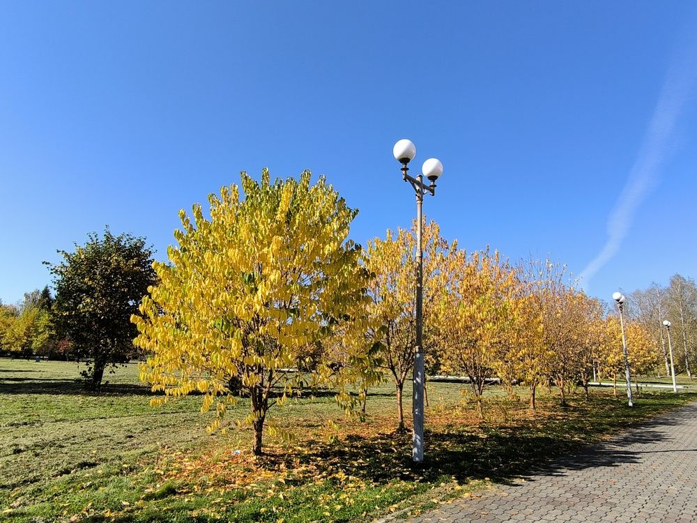 Фотография автора Александр Осинцев