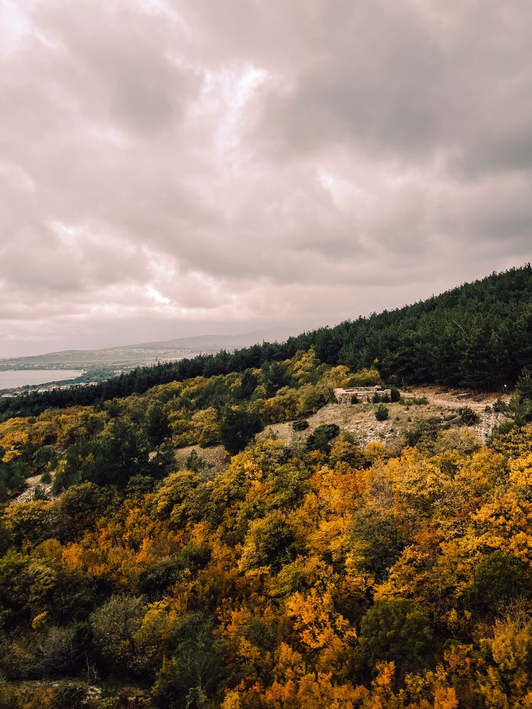 Фотография автора Евгения Сычкова