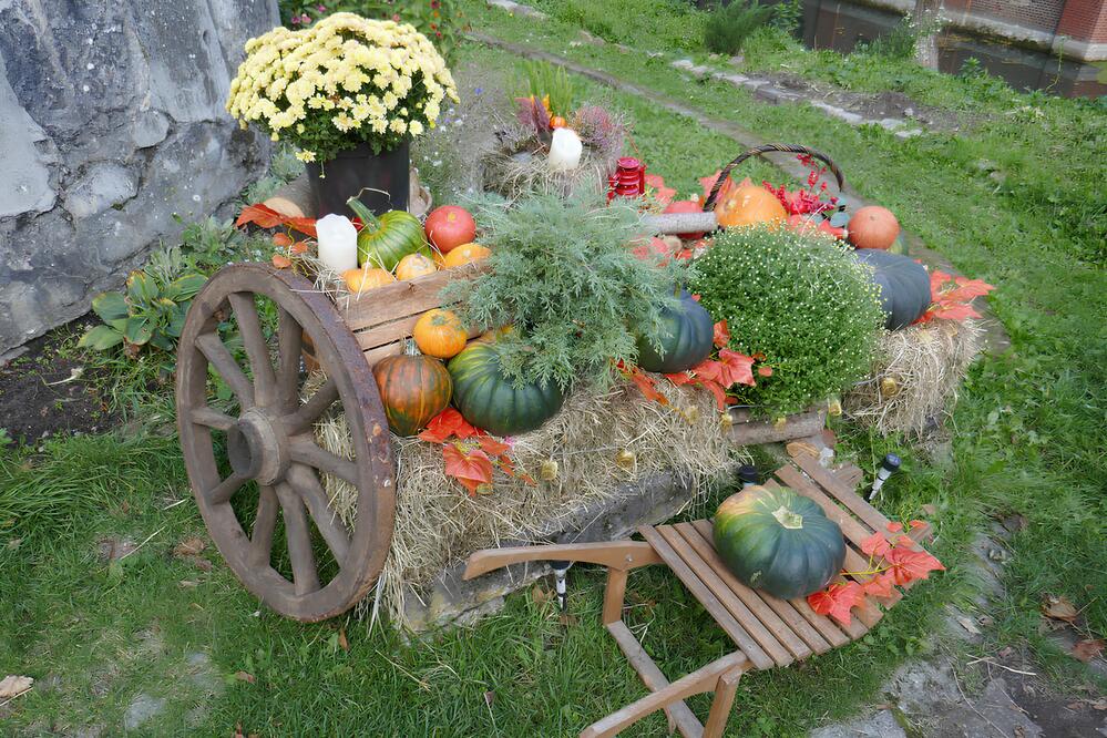 Photograph by Антон