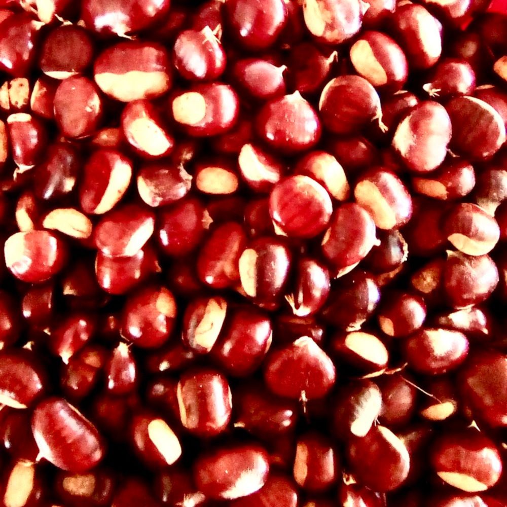 Photograph by Dario Meroni